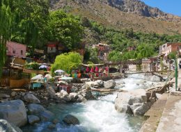 Valley Ourika Waterfalls, Atlas Mountains, Guide + Berber Lunch