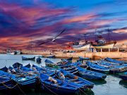 Full Day Tour in Essaouira Mogador