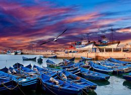 Full Day Tour in Essaouira Mogador