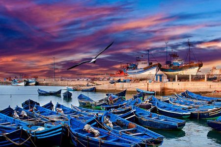 Full Day Tour in Essaouira Mogador