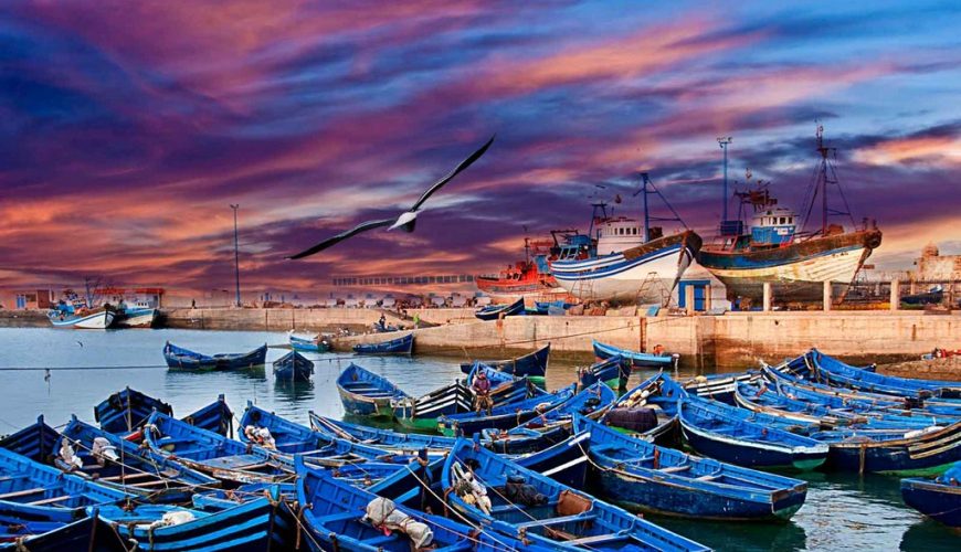 Full Day Tour in Essaouira Mogador