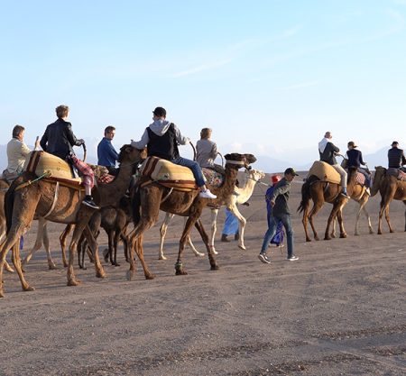 Agafay Sunset Camel Ride