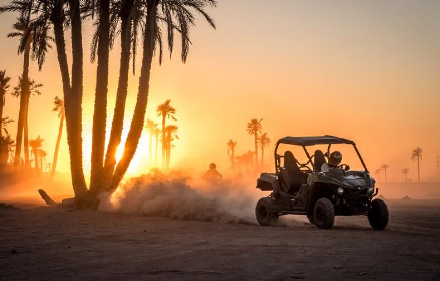 Buggy Ride 1000cc at Palmeraie Area with Tea Tasting from Marrakech