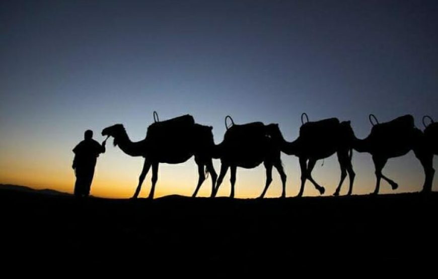Agafay Sunset Camel Ride