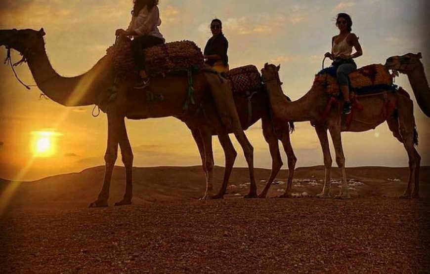 Agafay Sunset Camel Ride