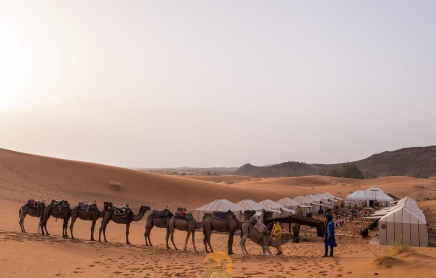 Agafay Sunset Camel Ride