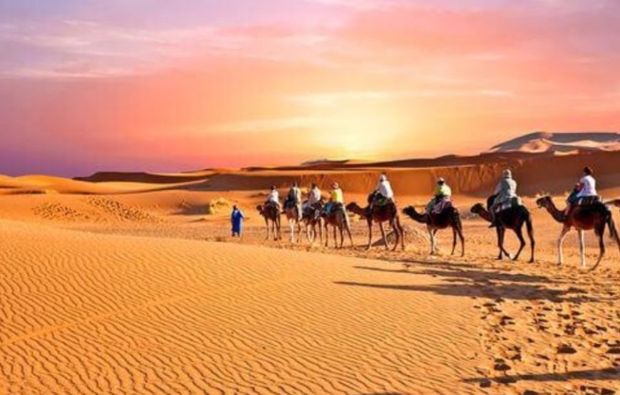 Agafay Sunset Camel Ride