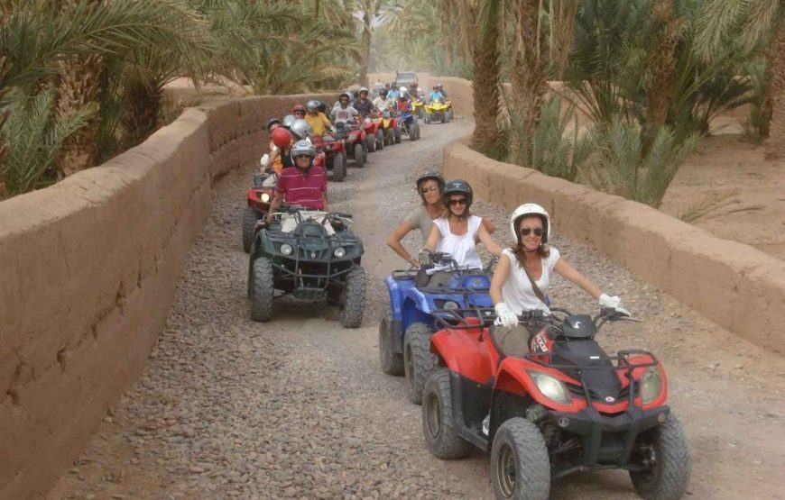 Quad Bike at Palmeraie Area with Tea Tasting from Marrakech