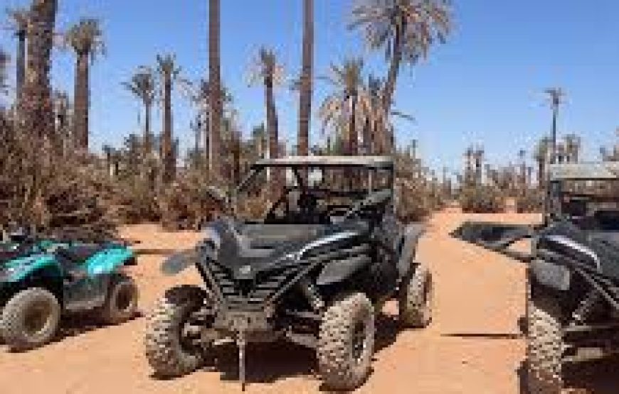 Buggy Ride 1000cc at Palmeraie Area with Tea Tasting from Marrakech