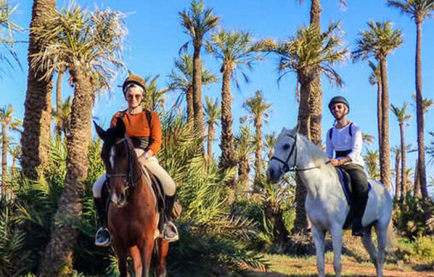 Horse riding in the Agafay desert