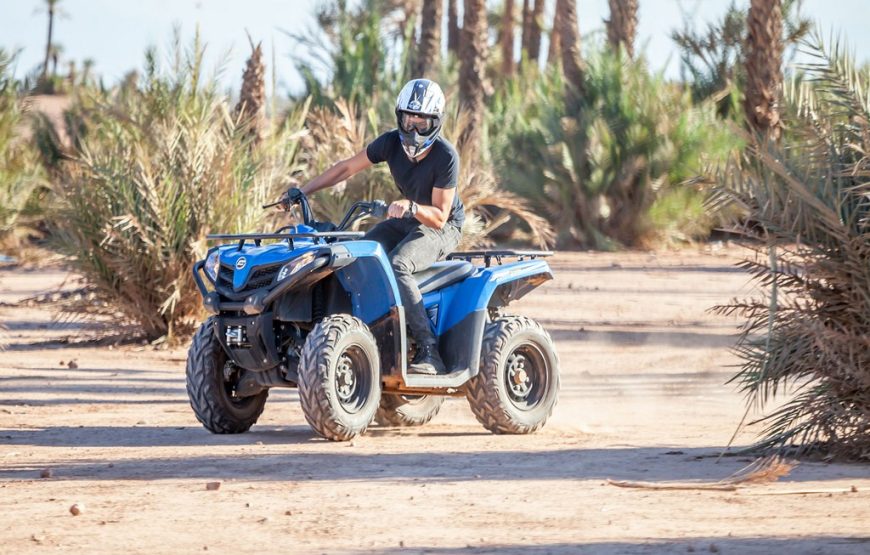 Quad Bike at Palmeraie Area with Tea Tasting from Marrakech