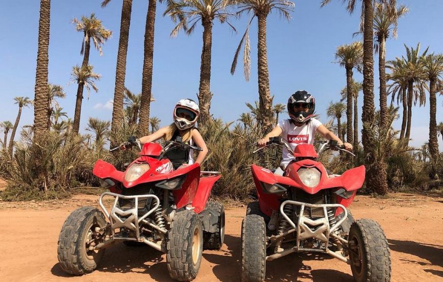 Quad Bike at Palmeraie Area with Tea Tasting from Marrakech