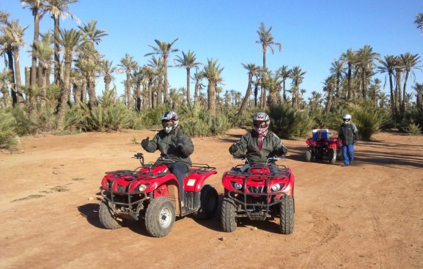 Quad Bike at Palmeraie Area with Tea Tasting from Marrakech