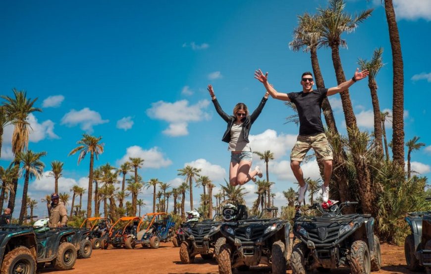 Quad Bike at Palmeraie Area with Tea Tasting from Marrakech