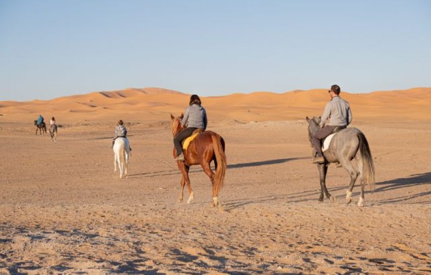 Horse riding in the Agafay desert