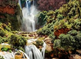 Guided Tour of Ouzoud from Marrakech